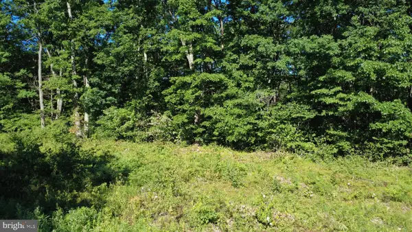 0 Maplewood Dr, PHILIPSBURG, PA 16866