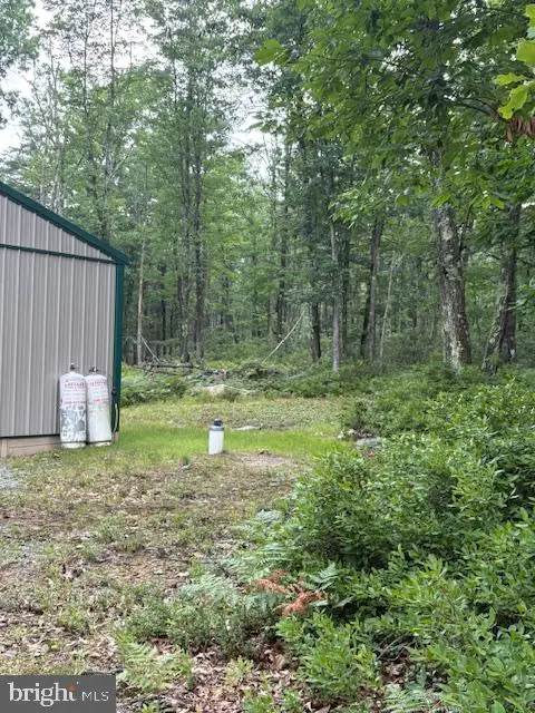 226 East Rd, Burnside, PA 16829 - #3