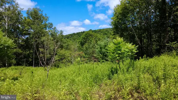 0 Pancake Rd, CLARENCE, PA 16829