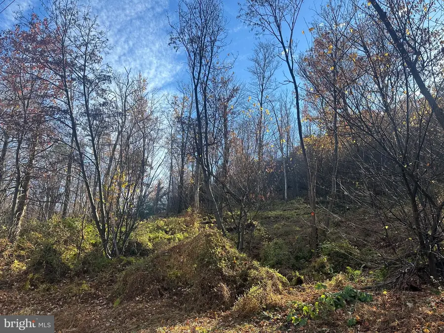 Wild Turkey Dr, Spring Mills, PA 16875 - #2