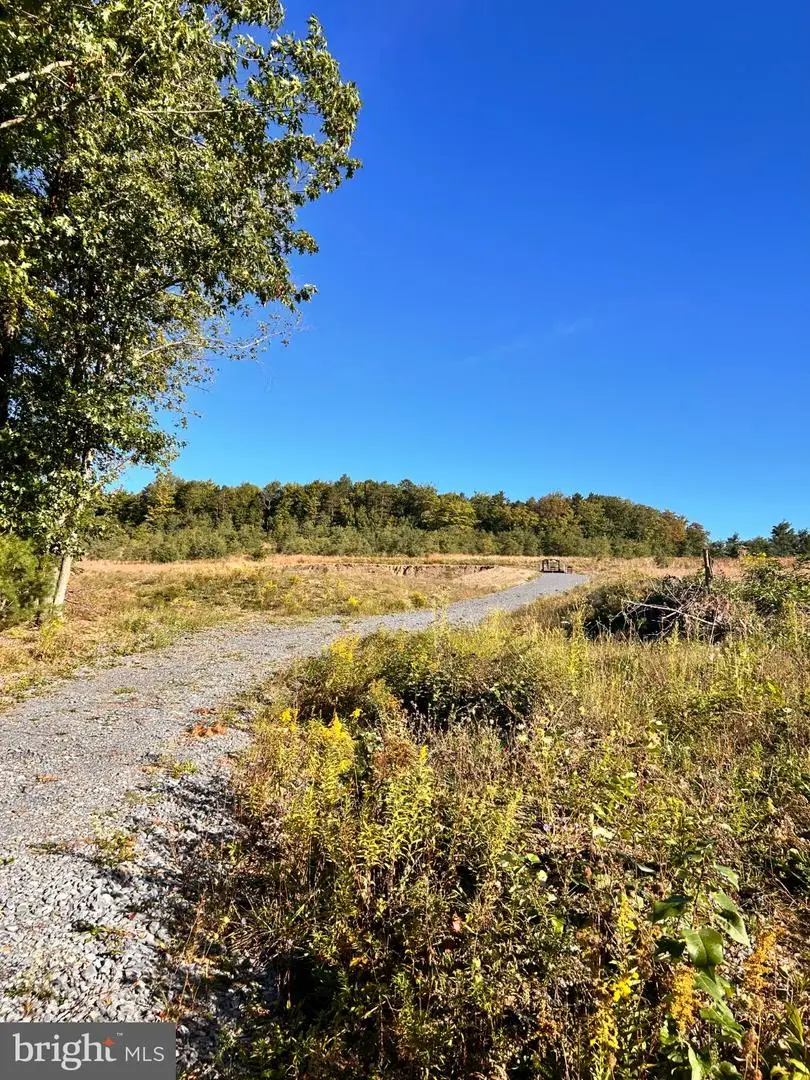 0 Fountain Rd, Snow Shoe, PA 16874 - #1