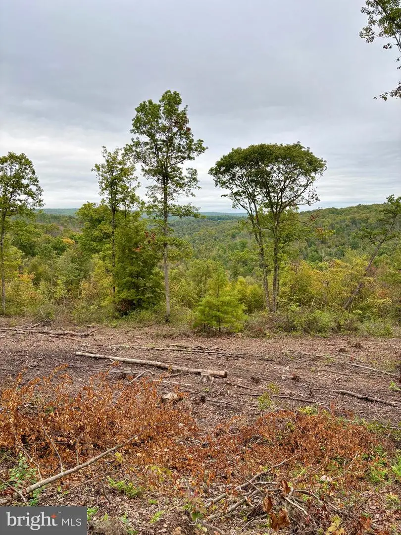 31-36 Beech Creek Mountain Rd, Beech Creek, PA 16822 - Image #1