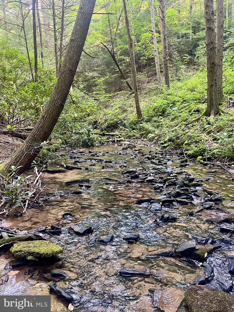 31-36 Beech Creek Mountain Rd, Beech Creek, PA 16822 - Image #3