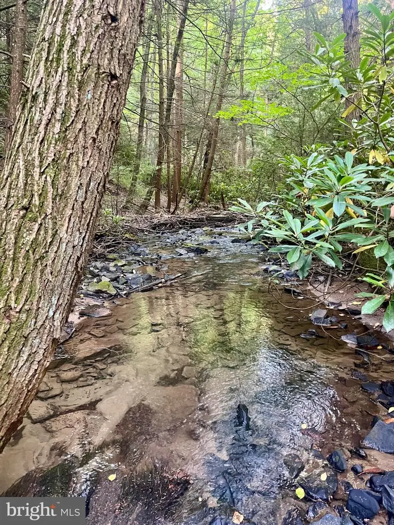 2500 Beech Creek Mountain Rd, Beech Creek, PA 16822 - Image #3
