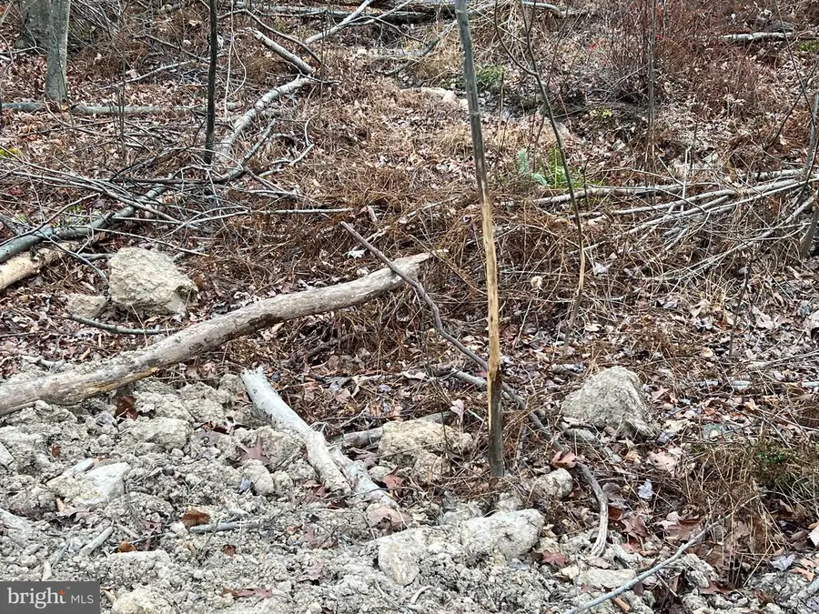 880 Phoenix Lane, Mill Hall, PA 17751 - #3