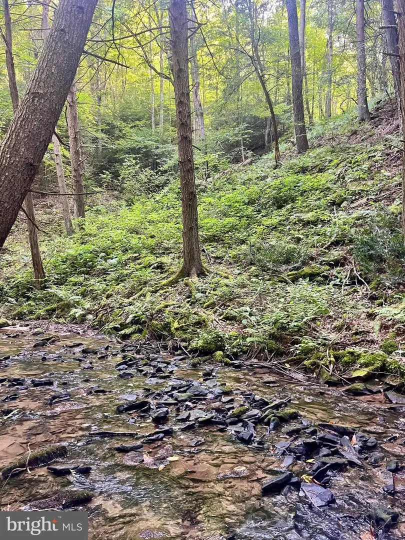 22 Beech Creek Mountain Rd, Beech Creek, PA 16822 - #2