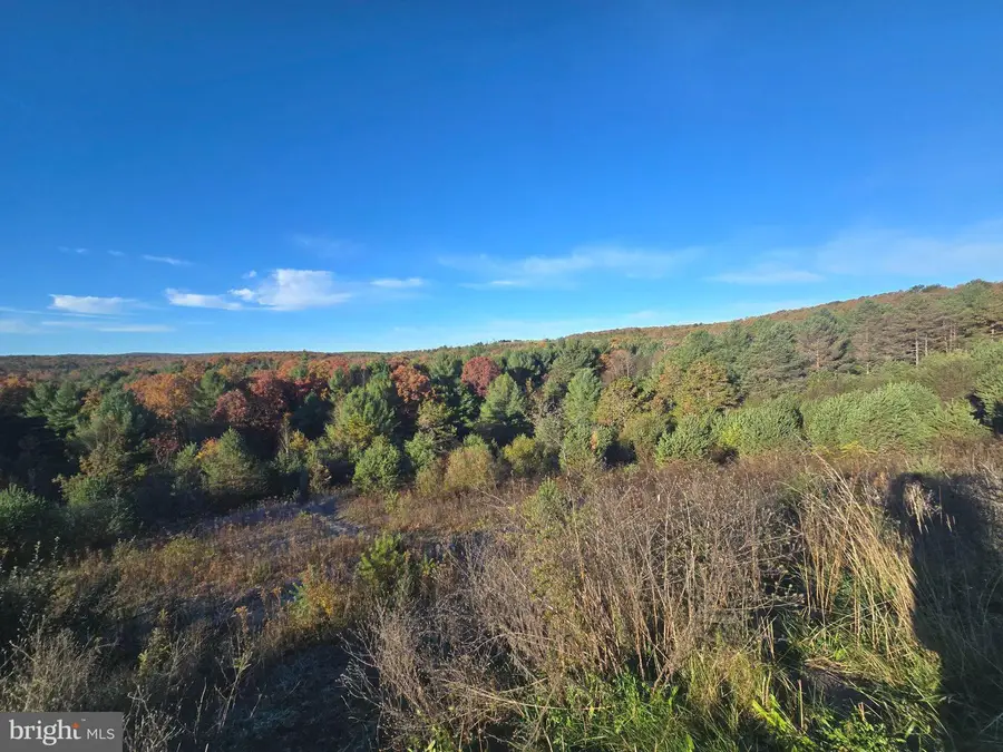 4081 Scootac Rd, Beech Creek, PA 16822 - #2