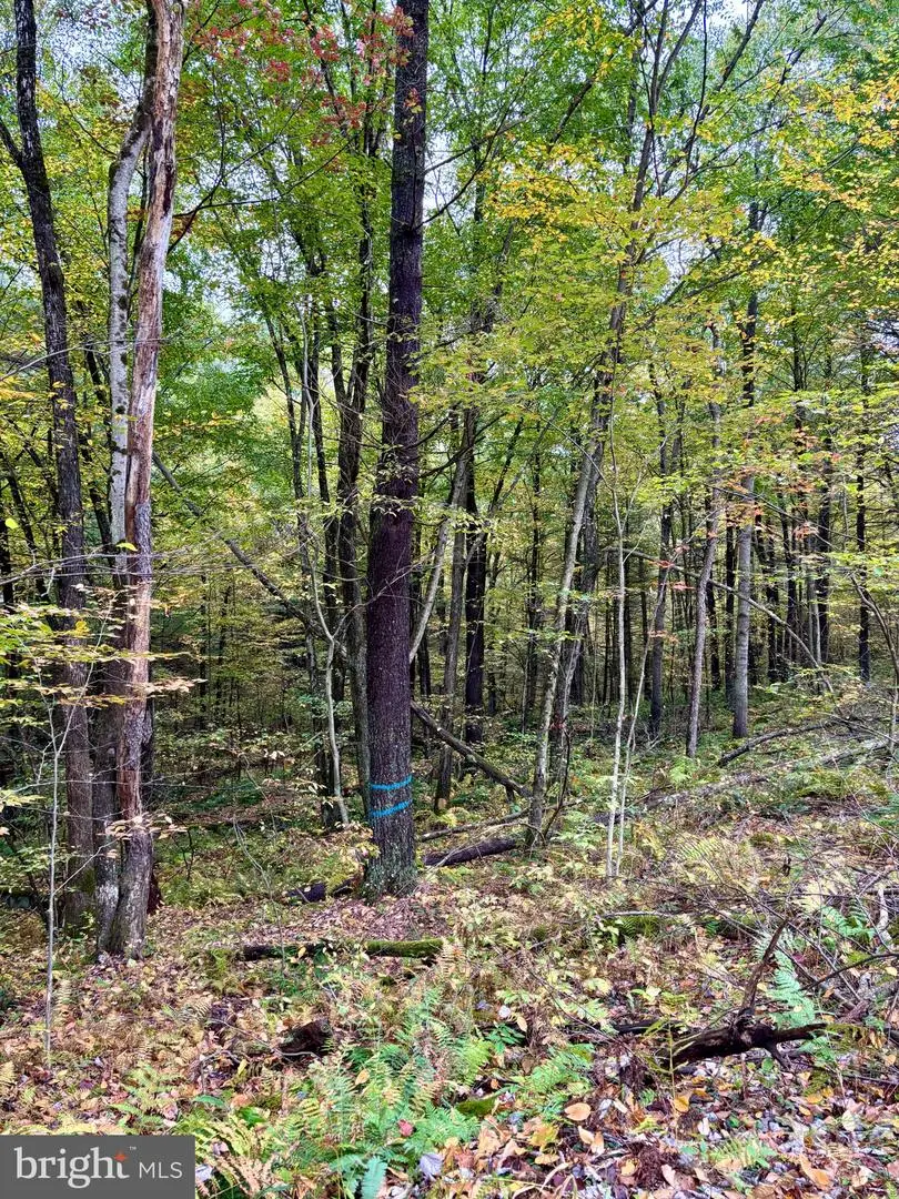 27 Beech Creek Mountain Rd, Beech Creek, PA 16822 - #2