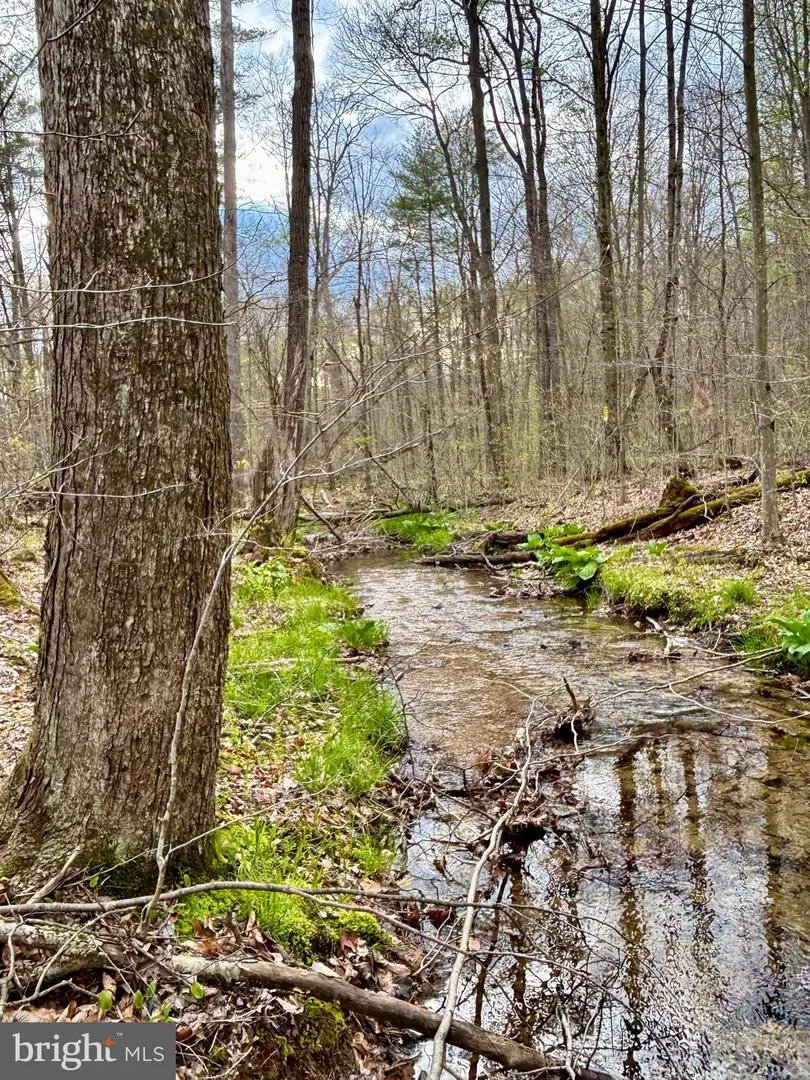 27 Beech Creek Mountain Rd, Beech Creek, PA 16822 - #3
