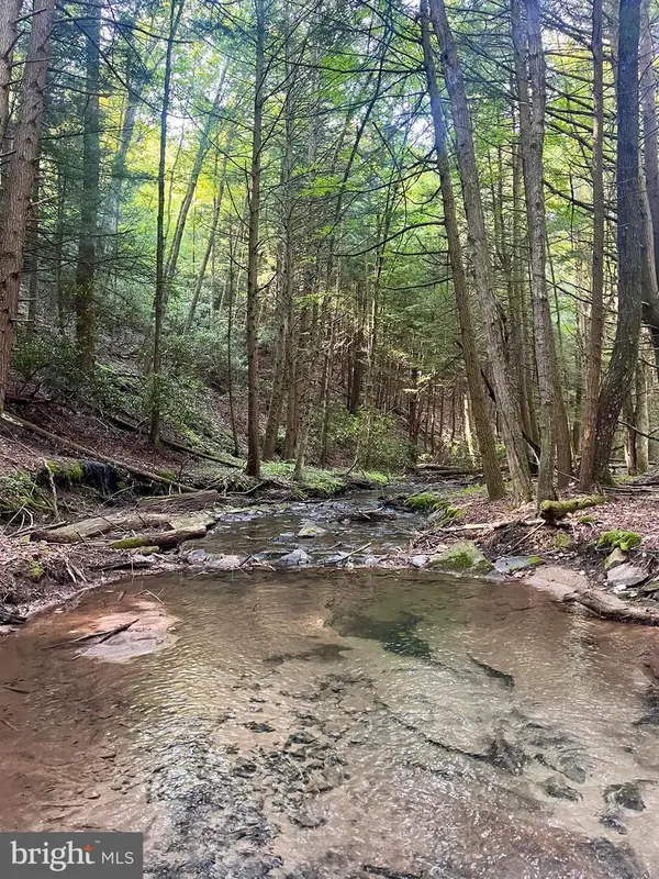 2600 Beech Creek Mountain Rd, BEECH CREEK, PA 16822