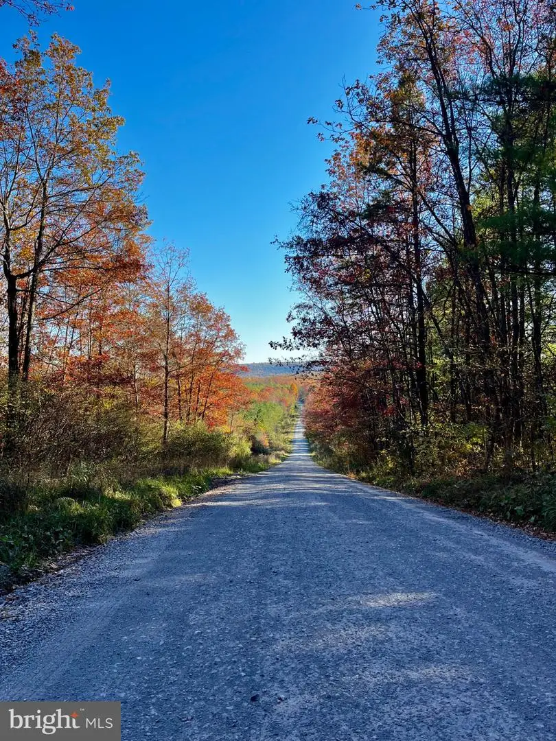 11 Beech Creek Mountain Rd, Beech Creek, PA 16822 - #1