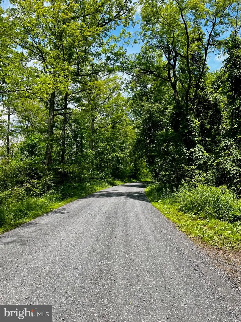 11 Beech Creek Mountain Rd, Beech Creek, PA 16822 - #2