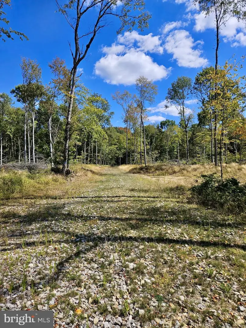 650 Edgewood Dr, Leeper, PA 16233 - Image #2