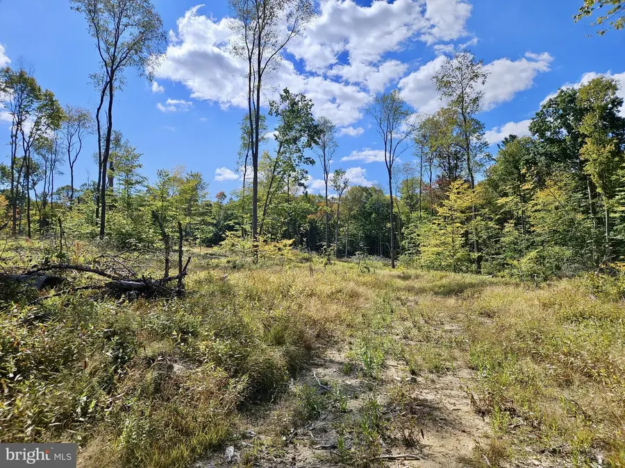 650 Edgewood Dr, Leeper, PA 16233 - Image #3