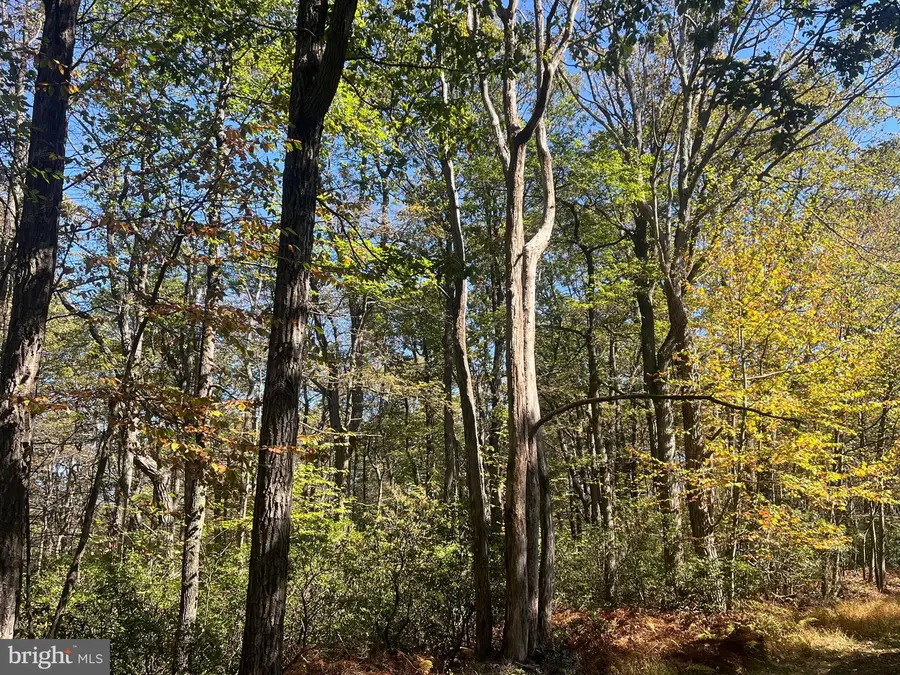 74 & 75 Elm Dr., Catawissa, PA 17820 - Image #3