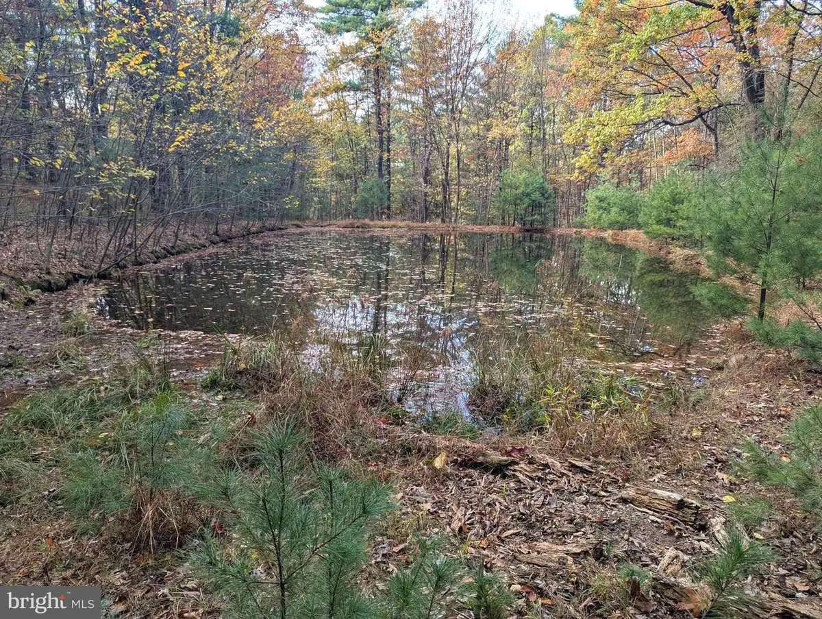 7 Community Pond Drive, Catawissa, PA 17820 - Image #1