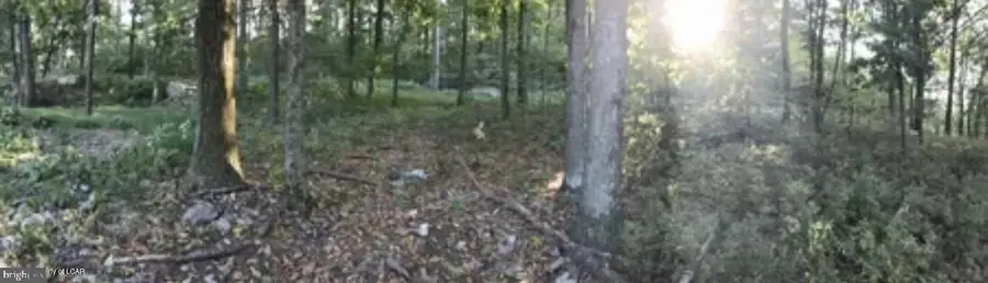 Evergreen, Catawissa, PA 17820 - #3