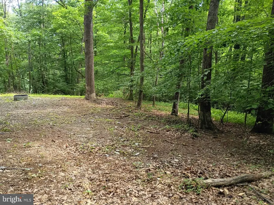 294 Old Racetrack Rd, Parkesburg, PA 19365 - #2