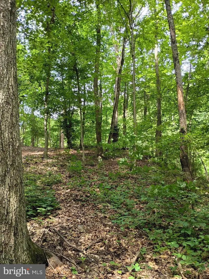 294 Old Racetrack Rd, Parkesburg, PA 19365 - #3