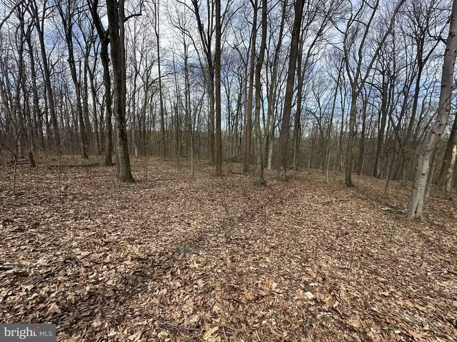 Pottstown Pike, Chester Springs, PA 19425 - #2