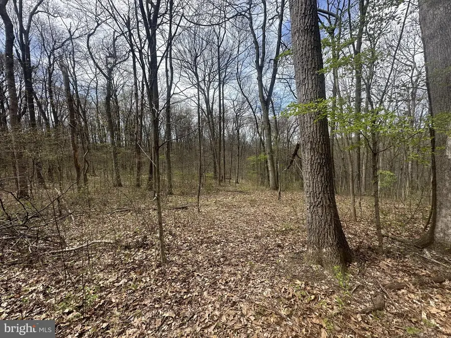 Pottstown Pike, Chester Springs, PA 19425 - #3