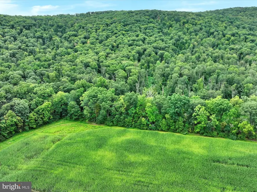 S Penn Railroad, Elizabethville, PA 17023 - Image #2