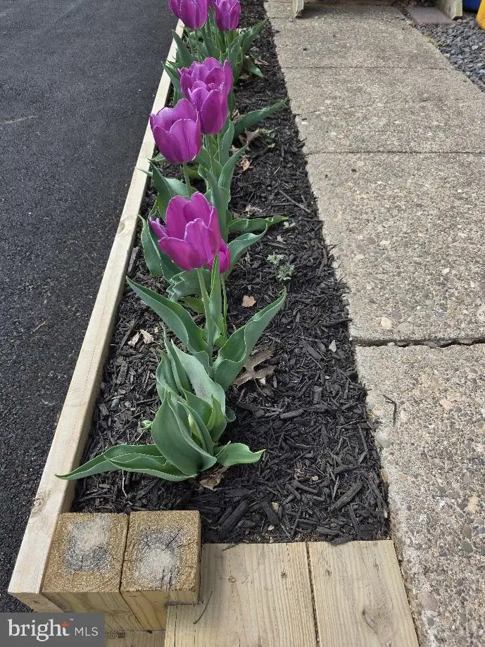 320 E Roosevelt Ave, Middletown, PA 17057 - #3