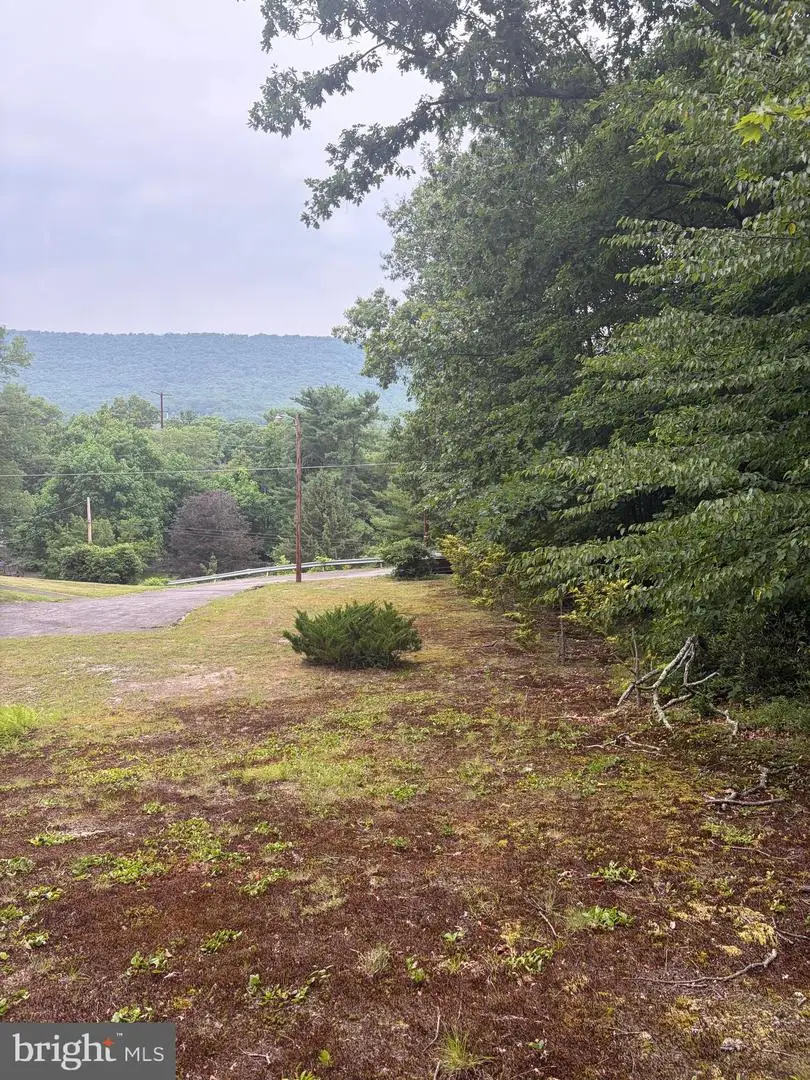 8746 Route 209, Williamstown, PA 17098 - #3