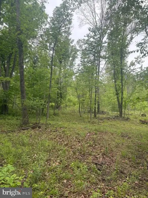 1311 Red Hill Rd, Dauphin, PA 17018 - #2