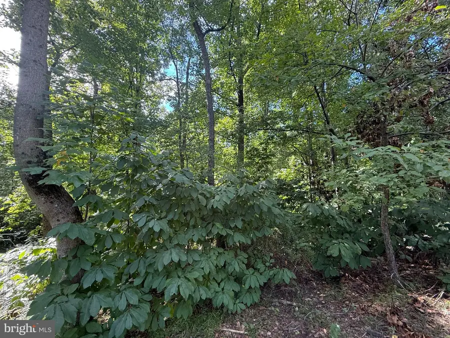 Lot 98 Great Oak Ln, Harrisburg, PA 17110 - #3