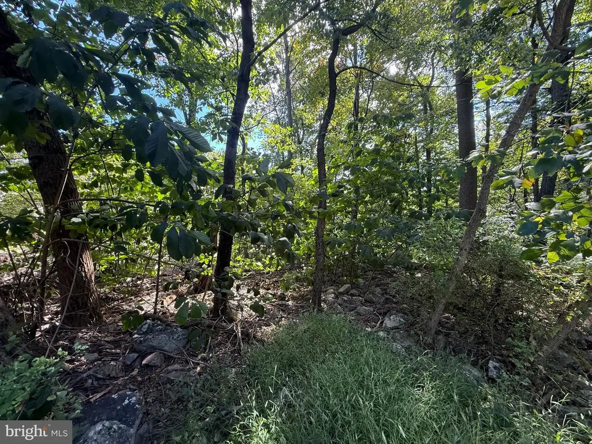 Lot 63 Dogwood Rd, Harrisburg, PA 17110 - #1