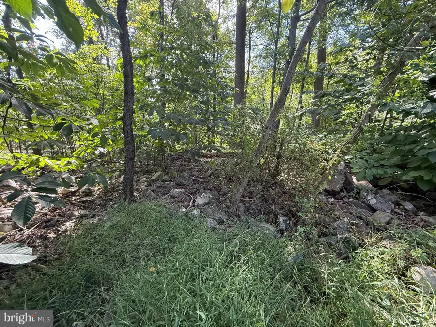 Lot 63 Dogwood Rd, Harrisburg, PA 17110 - #3