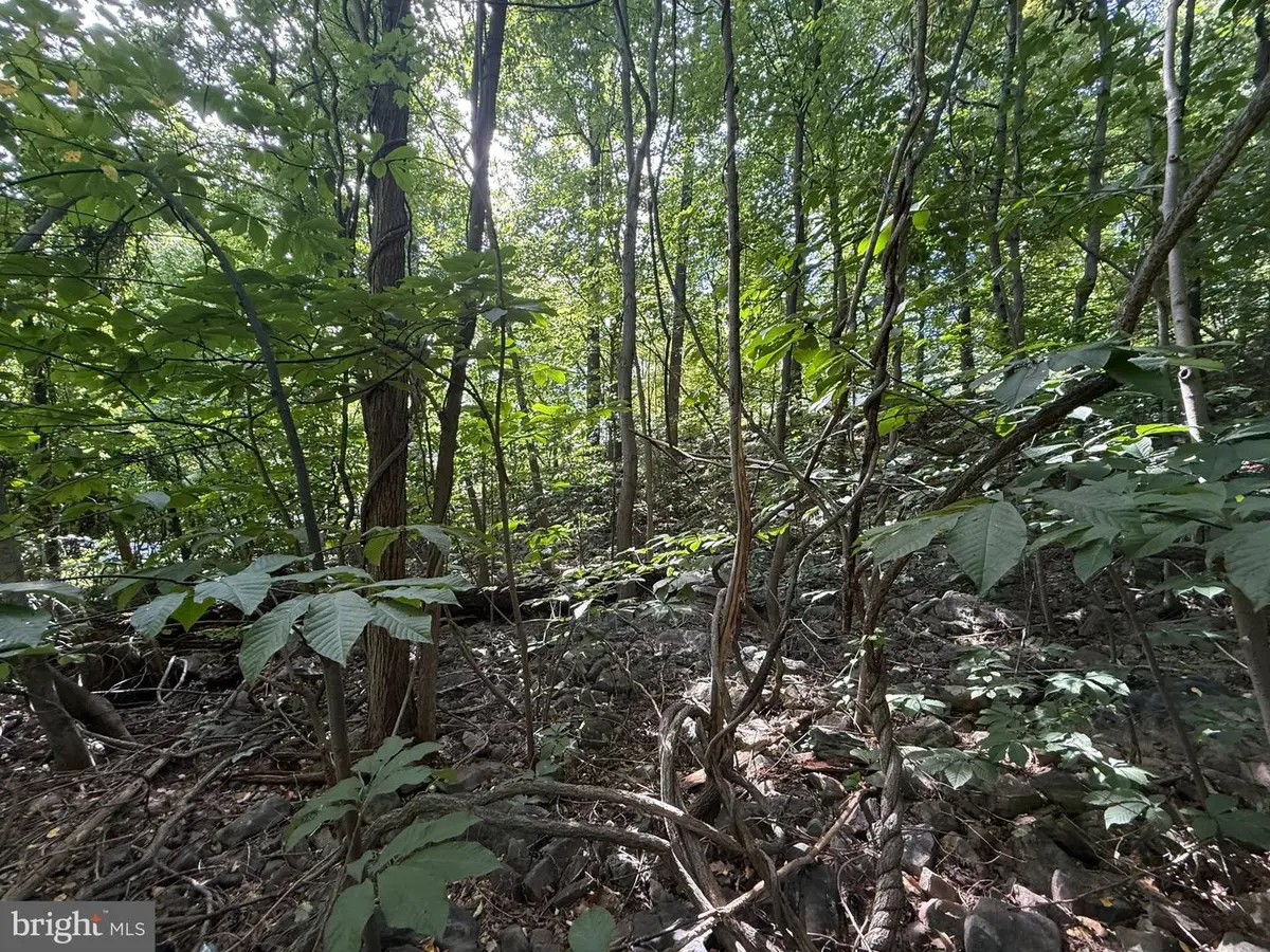 Lot 60 Dogwood Rd, Harrisburg, PA 17110 - #1