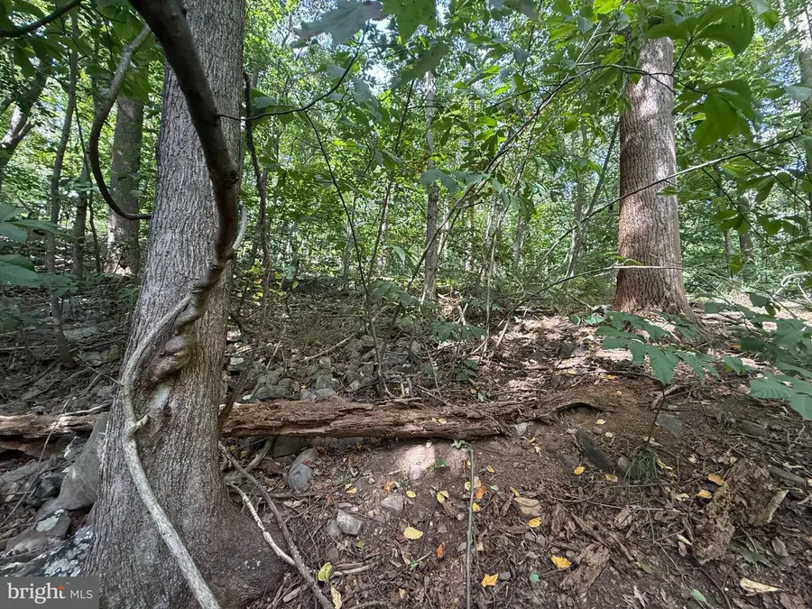 Lot 60 Dogwood Rd, Harrisburg, PA 17110 - #2