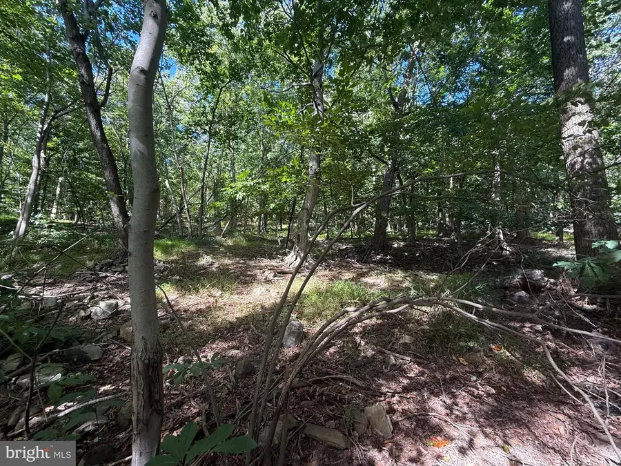 Lots Dogwood, Mountain Rise & Great Oak Rd, Harrisburg, PA 17110 - #2
