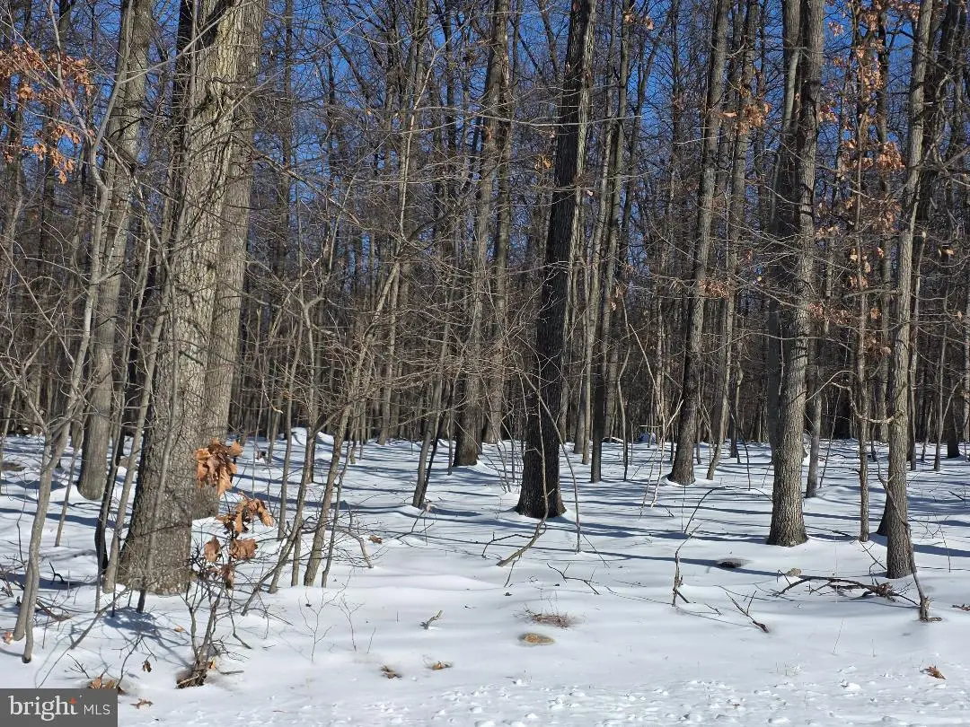 Morman Church Road, Waynesboro, PA 17268 - #1