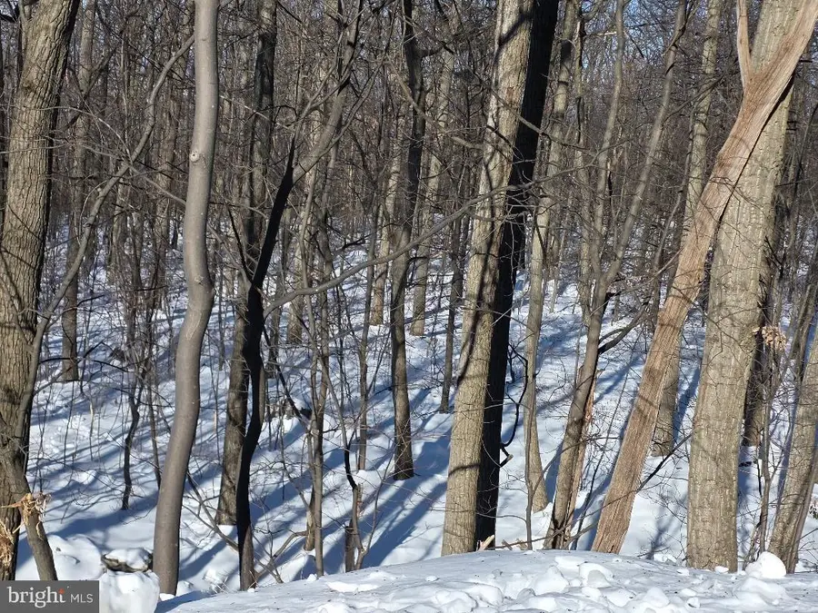 Morman Church Road, Waynesboro, PA 17268 - #3