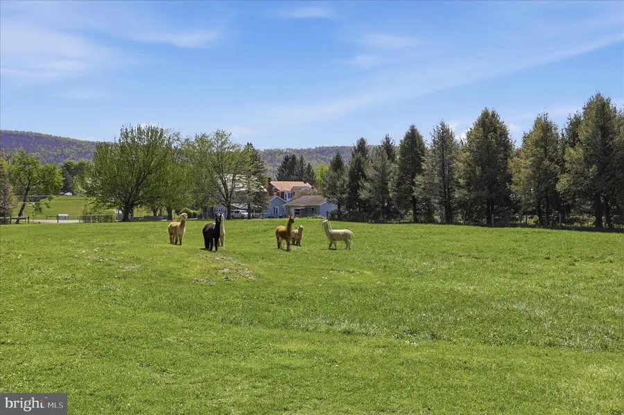 18885 Main Street, Dry Run, PA 17220 - #3
