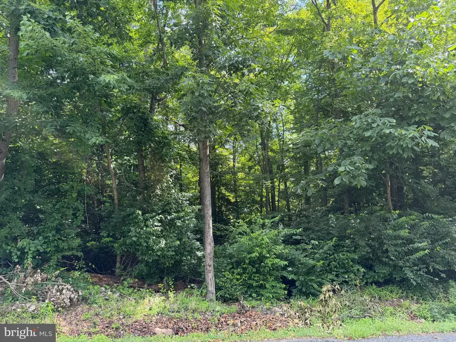 Tract 2: .59+/- Acres Circle Drive, Chambersburg, PA 17202 - #2