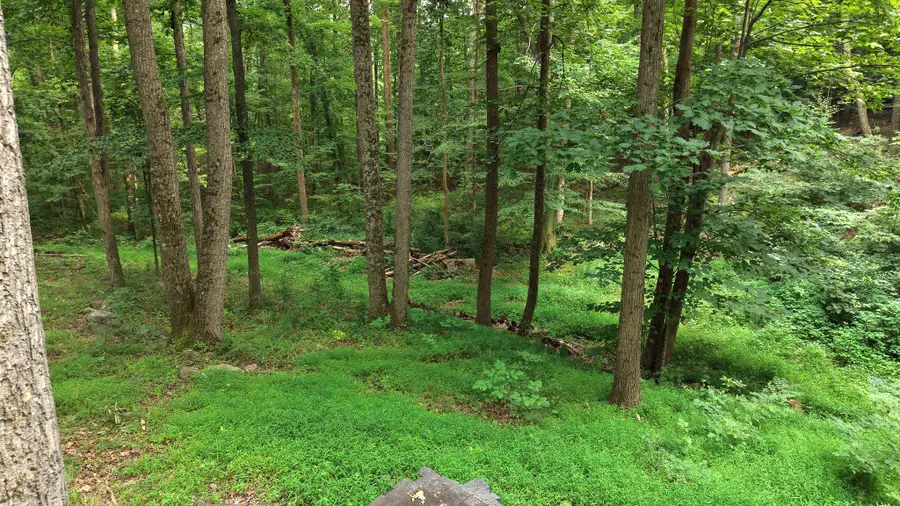 15630 Bricker Rd, Fort Loudon, PA 17224 - #3