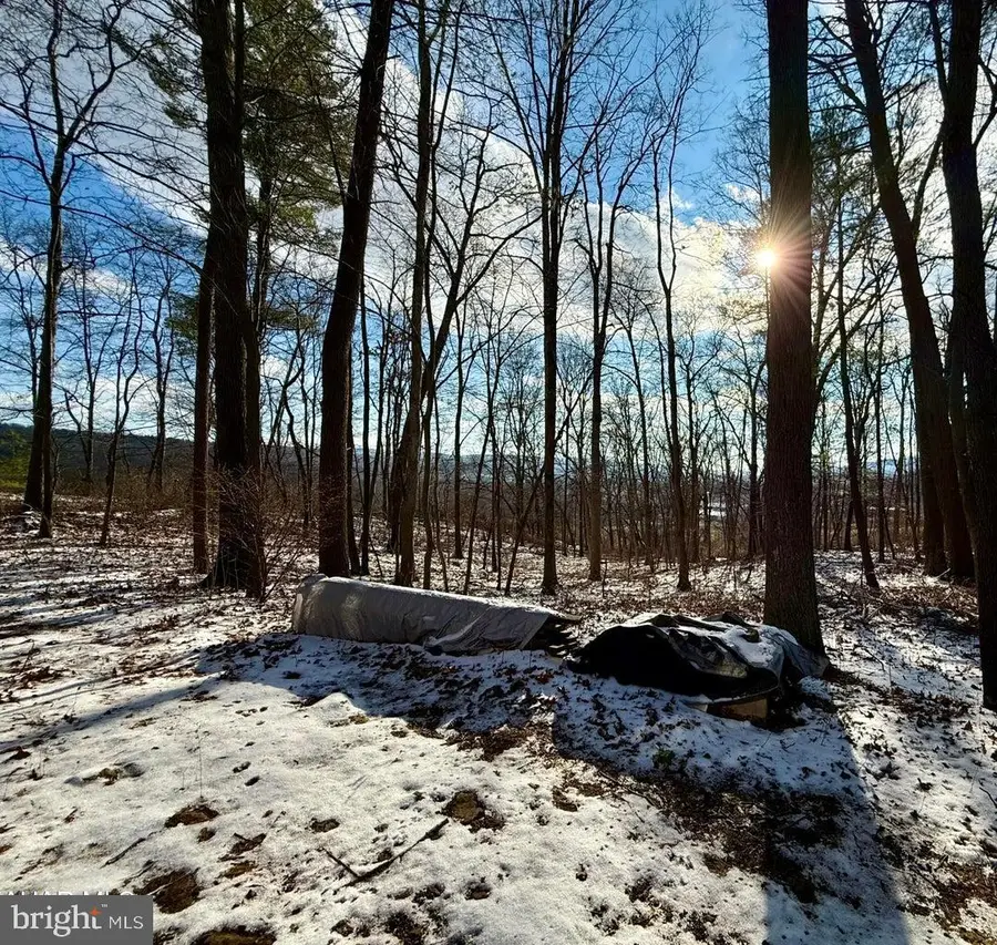 140 Dogwood Ln, Crystal Spring, PA 15536 - Image #2