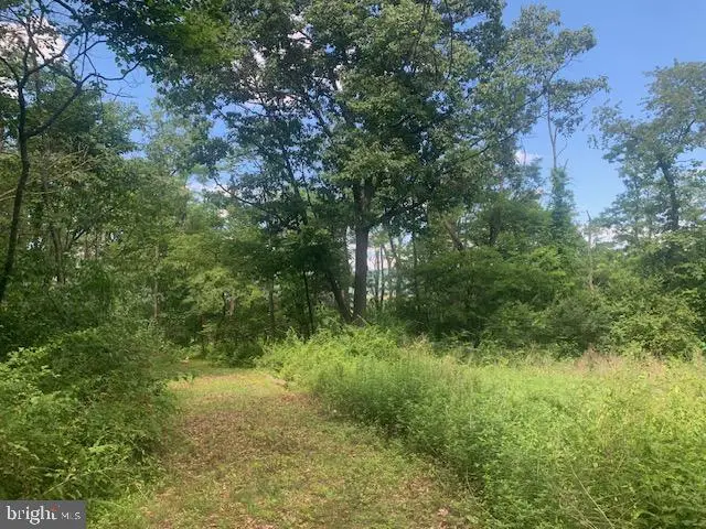 5353 Cito Rd, McConnellsburg, PA 17233 - #2