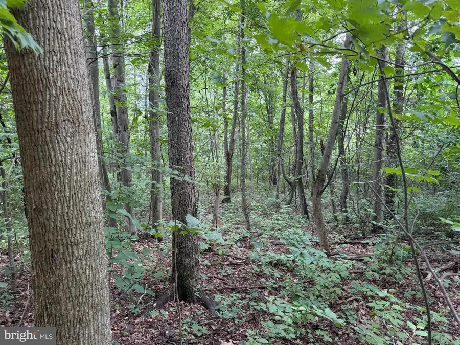 Tract 3: 22.32+/- Acres At 2668 Moss Rd, Warfordsburg, PA 17267 - #3