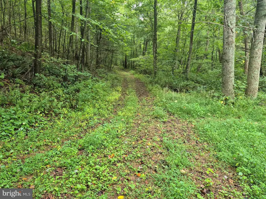 0 Moss Rd, Warfordsburg, PA 17267 - #3