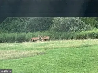 #3