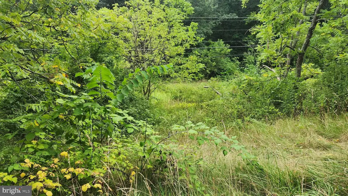 Walnut, Springfield, PA 16623 - Image #1