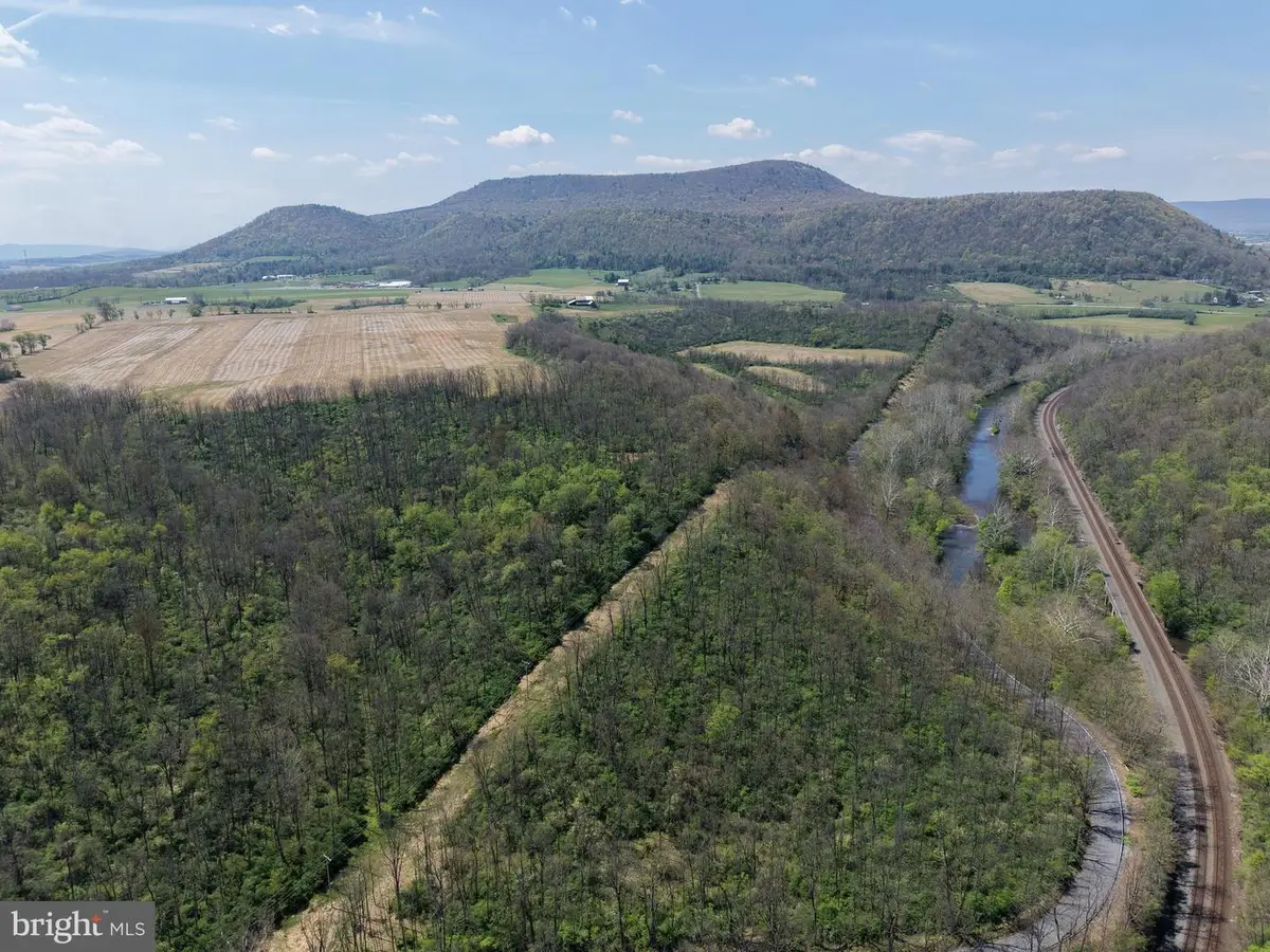 Tract 2: 43.15+/- Acres Union Furnace Rd, Tyrone, PA 16686 - #1