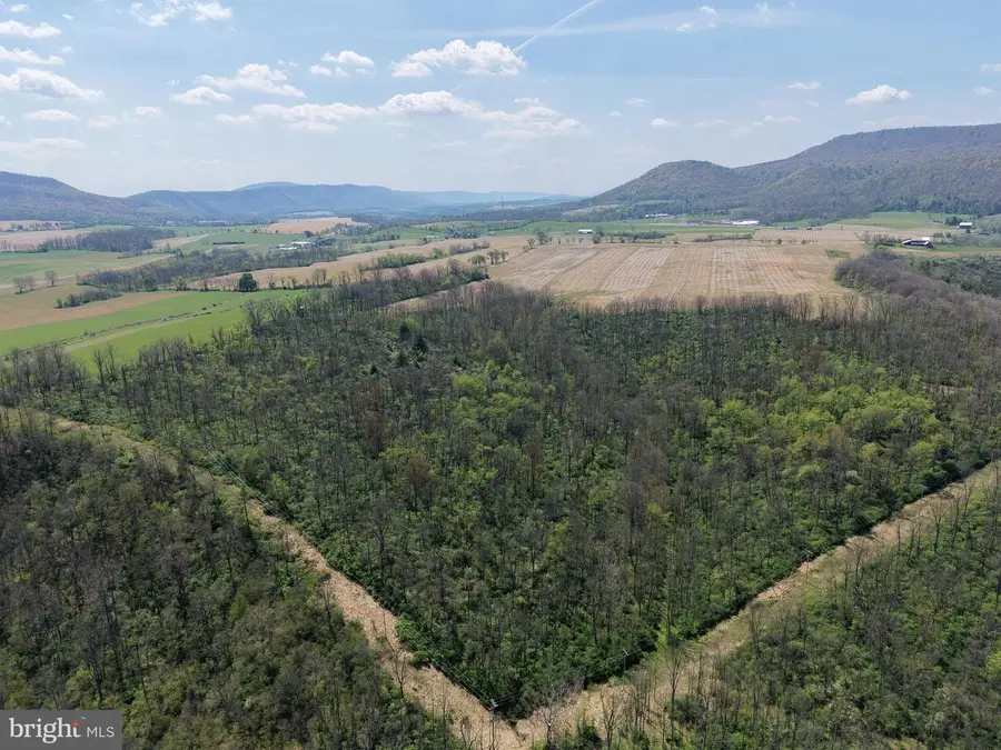 Tract 2: 43.15+/- Acres Union Furnace Rd, Tyrone, PA 16686 - #2