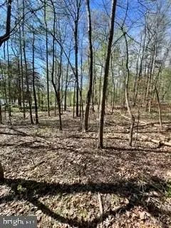 0 Ichabod Ln, Shirleysburg, PA 17260 - #3
