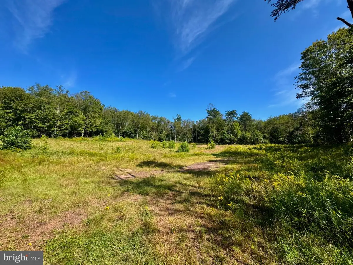 Lot: 2 Paradise Point, James Creek, PA 16657 - #1
